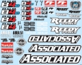 Picture of Team Associated RC8B4 Decal Sheet
