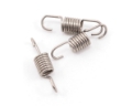 Picture of Mugen Seiki Ninja JX21 Muffler Spring (3)