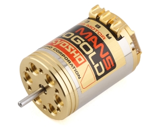 Picture of Kyosho LeMans 480 Gold Brushless Motor (21.5T)